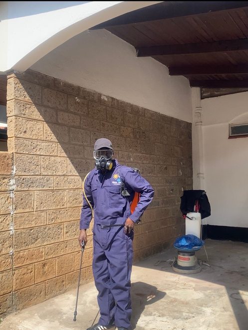 Professional fumigation service