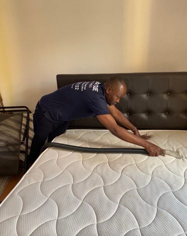Upholstery mattress and carpet care